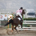 Poni club