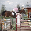 Poni club