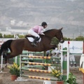 Poni club