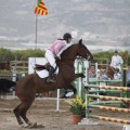 Poni club