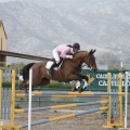 Poni club
