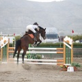 Poni club
