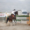 Poni club