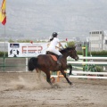 Poni club