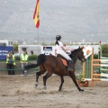 Poni club