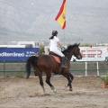 Poni club