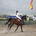 Poni club