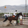 Poni club