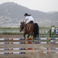 Poni club