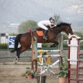 Poni club