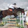 Poni club