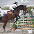 Poni club
