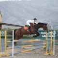 Poni club