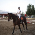 Poni club
