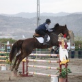 Poni club
