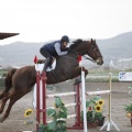 Poni club