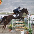Poni club