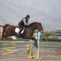 Poni club