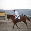 Poni club