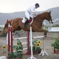 Poni club