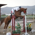 Poni club