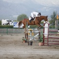 Poni club