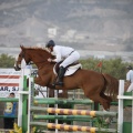 Poni club