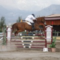Poni club