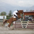 Poni club