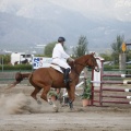 Poni club