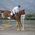 Poni club