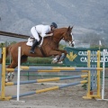 Poni club