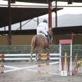 Poni club