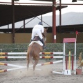 Poni club
