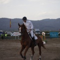 Poni club