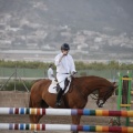 Poni club