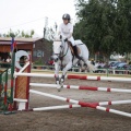 Poni club