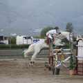 Poni club