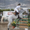 Poni club