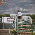 Poni club