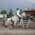 Poni club