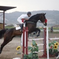 Poni club