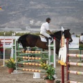 Poni club