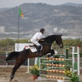 Poni club