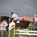 Poni club