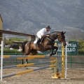 Poni club