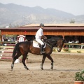Poni club