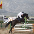 Poni club