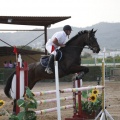 Poni club