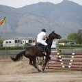 Poni club